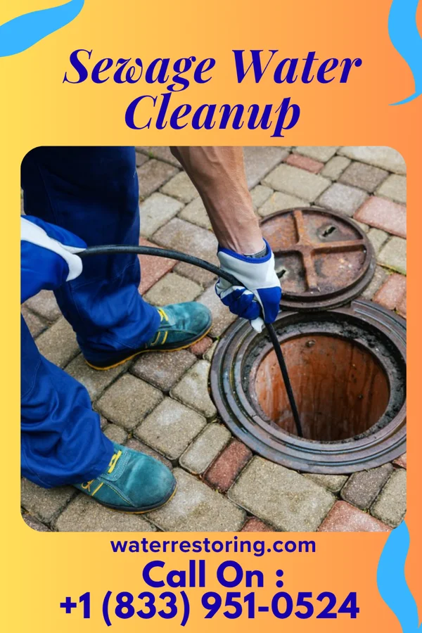 Sewage Water Cleanup in Waynesburg, OH