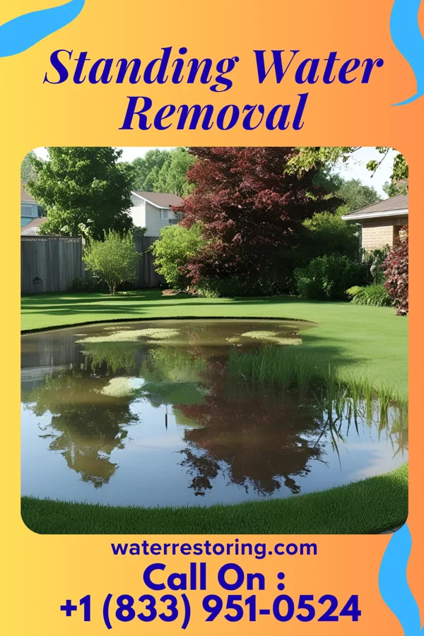 Standing Water Removal in Waynesburg, OH